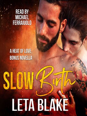 cover image of Slow Birth